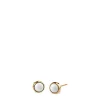 Arctic Symphony | polished gold | 701-25-05