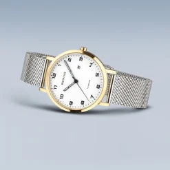 Titanium | polished/brushed gold | 18634-010